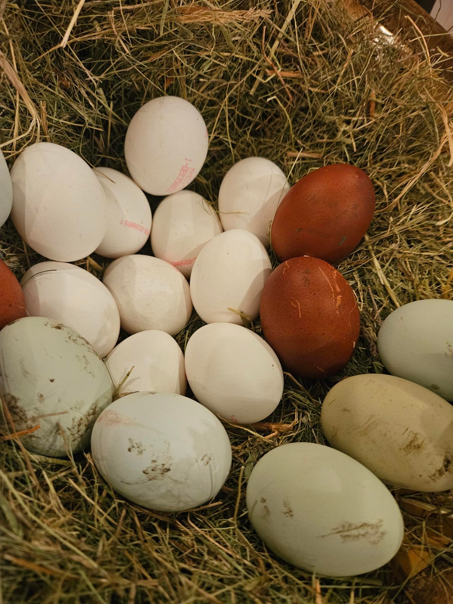 1000113616 (c) St. Marien